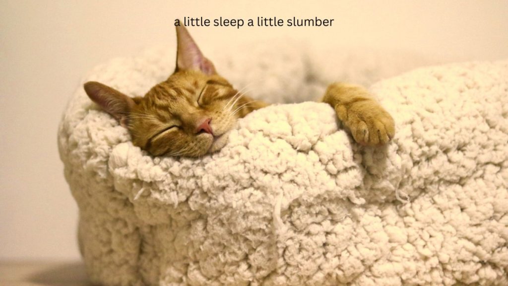 a liitle sleep a little slumber a little folding of the hand