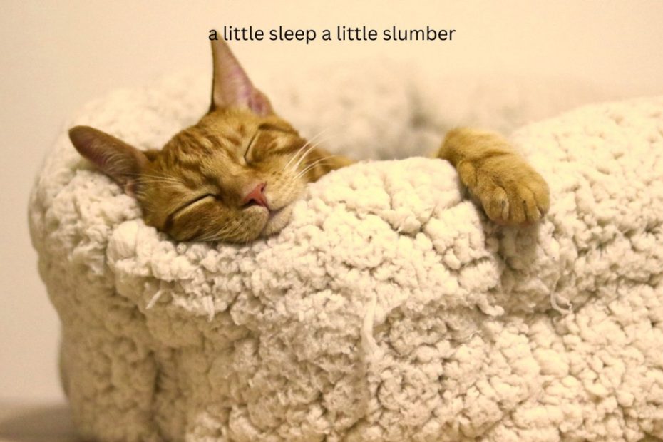 a liitle sleep a little slumber a little folding of the hand