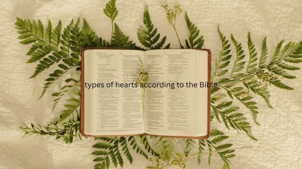 types of heart according to the Bible