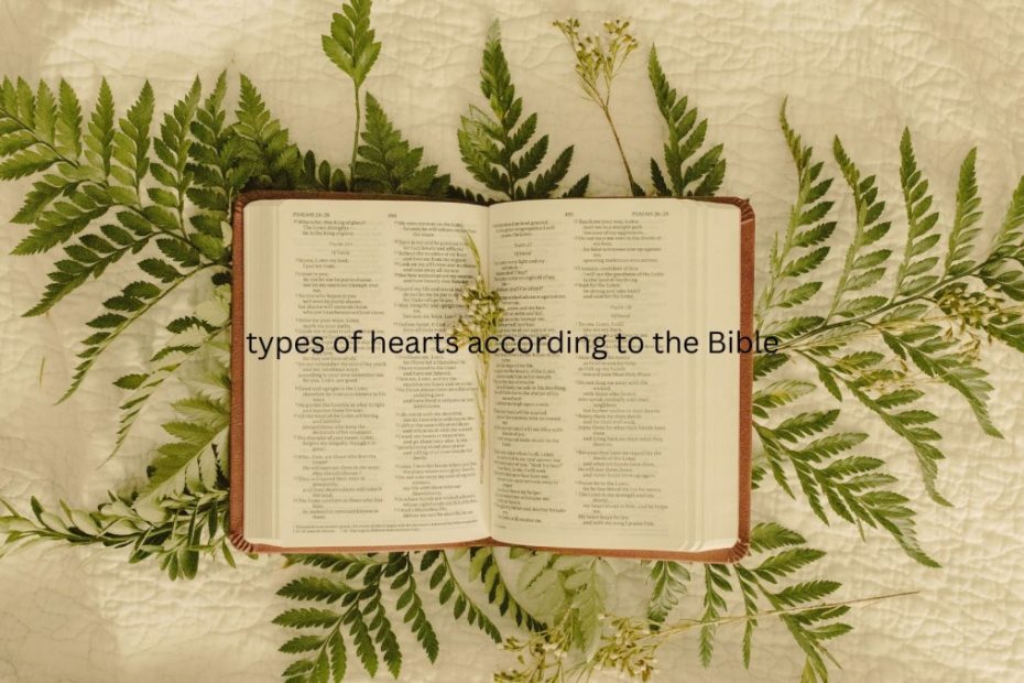 types of heart according to the Bible