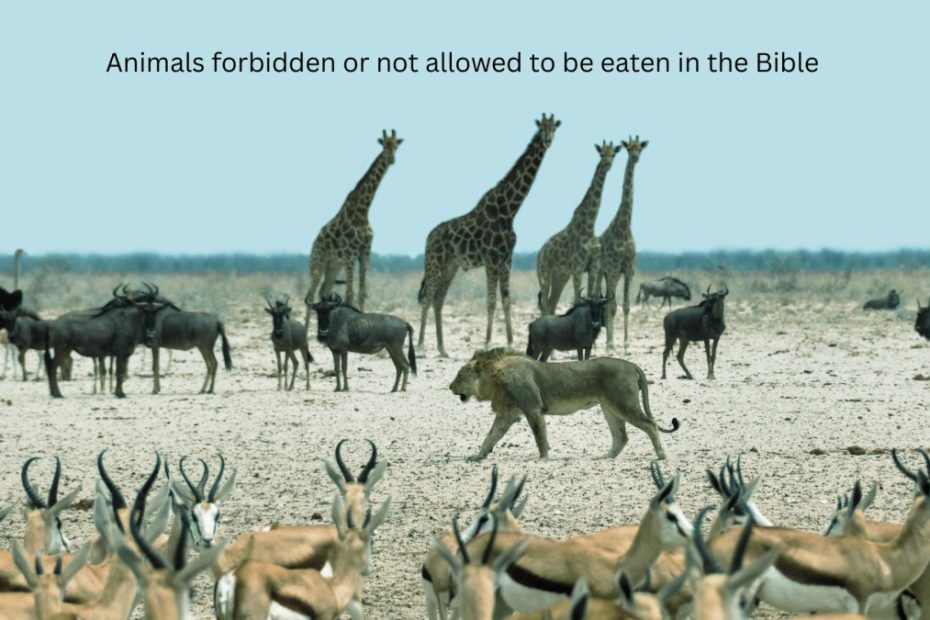 animals forbidden or not allowed to be eaten clean and unclean animals in the Bible