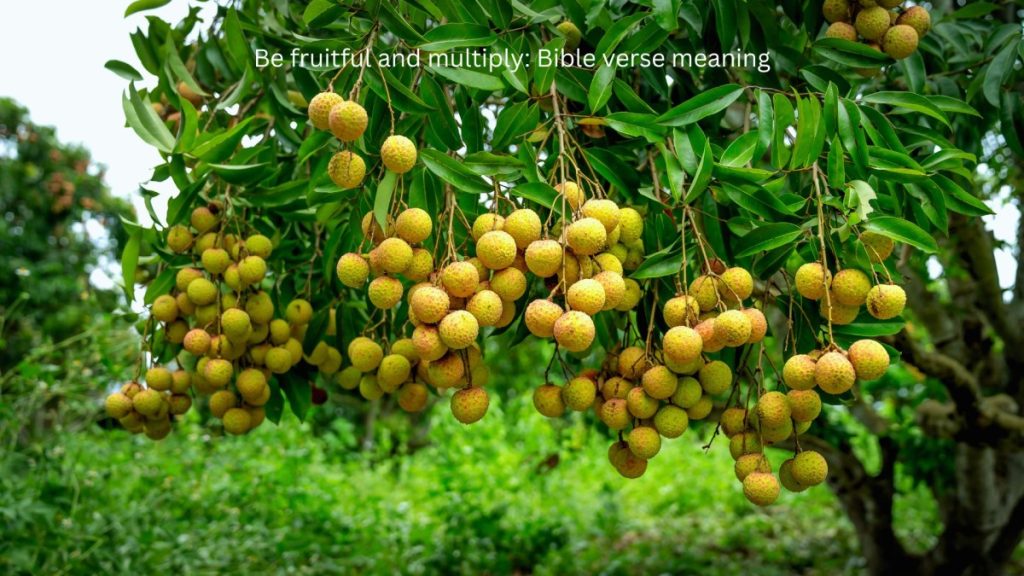 Be fruitful Be fruitful and multiuplyand multiply