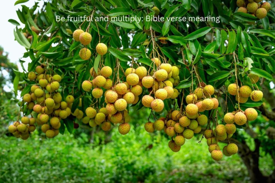 Be fruitful Be fruitful and multiuplyand multiply