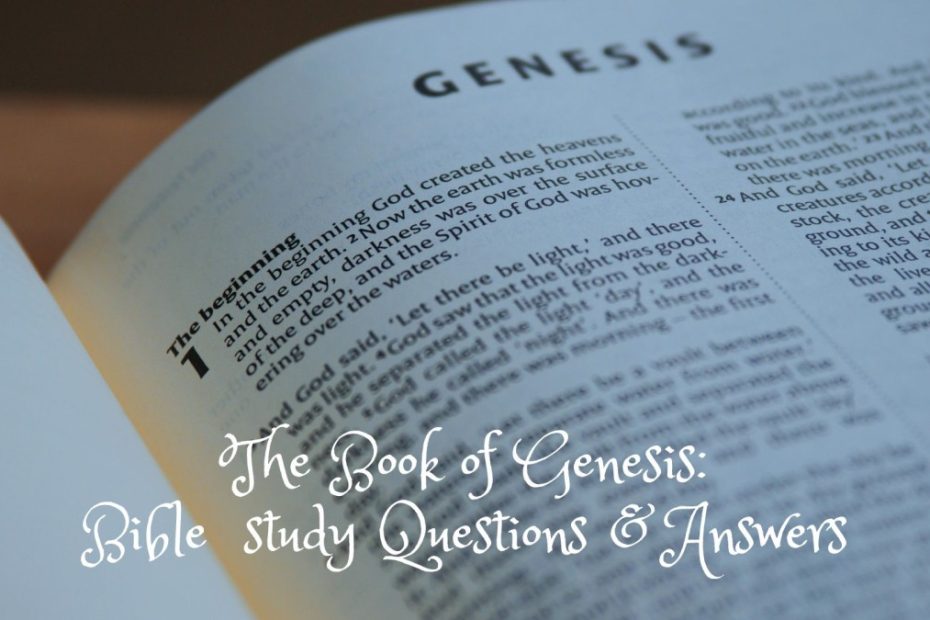 Genesis 6 Bible study questions and answers