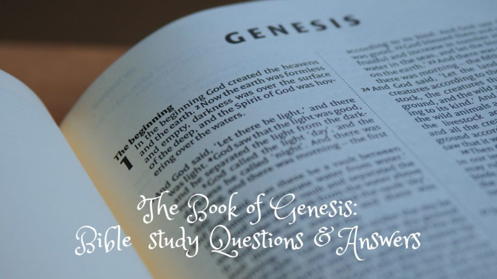 Genesis 1 Bible study questions and answers