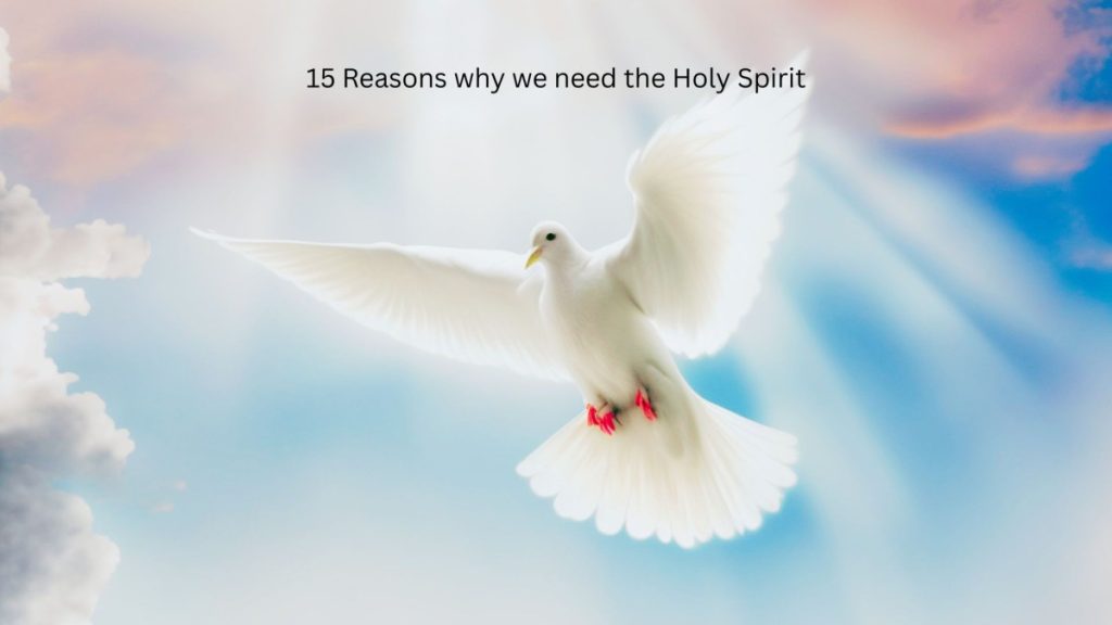 Reasons why we need the Holy Spirit