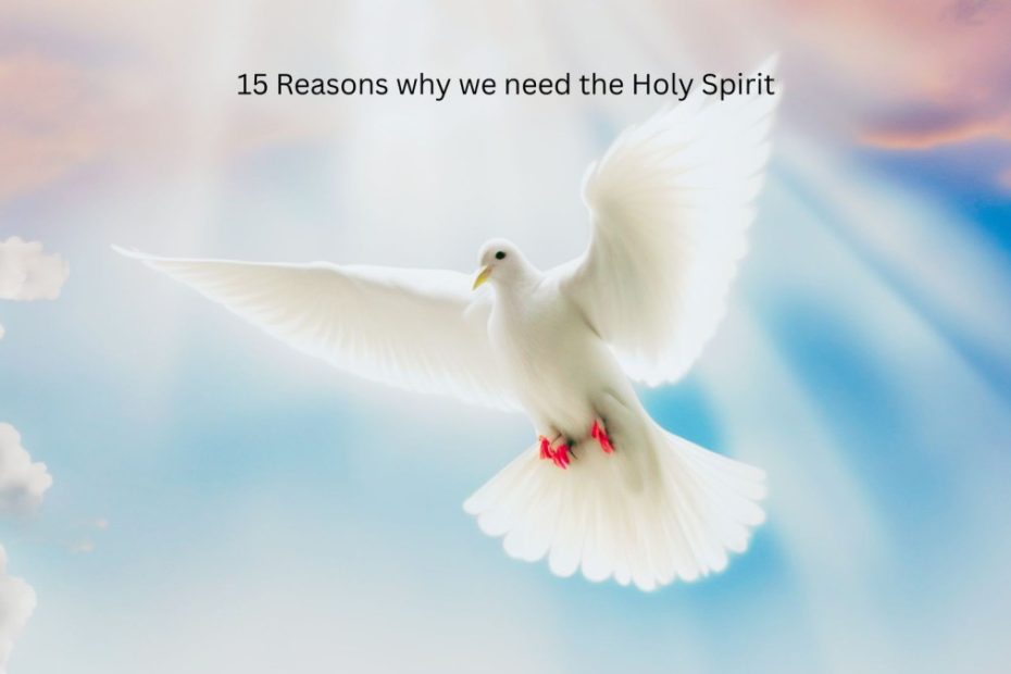 Reasons why we need the Holy Spirit