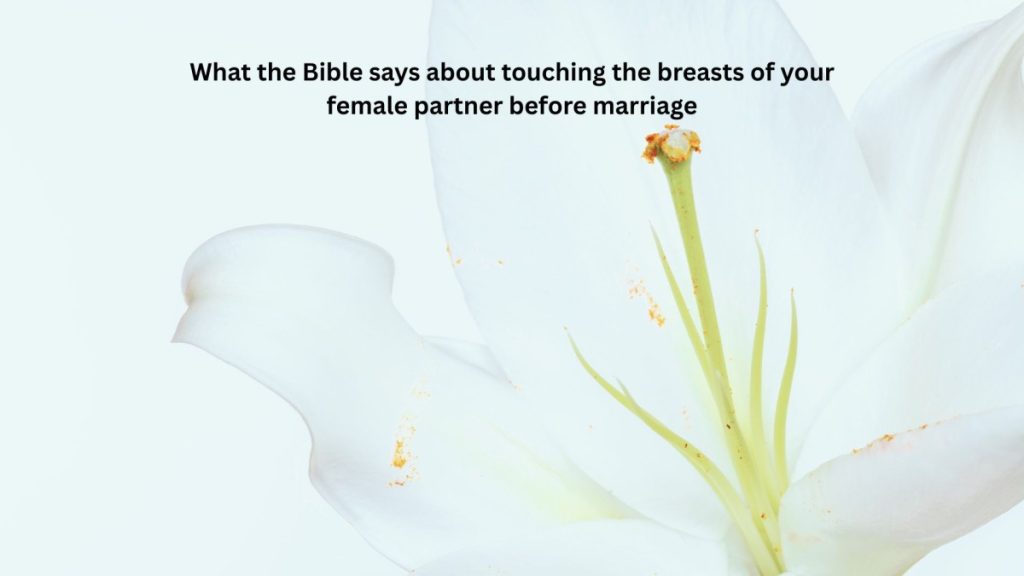 What the Bible says about touching the breasts of your female partner before marriage