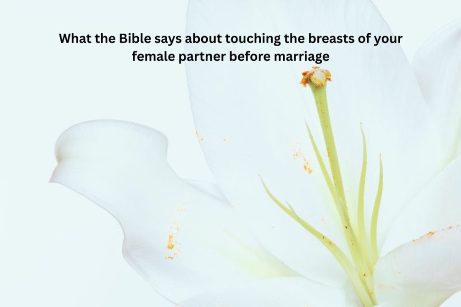 What the Bible says about touching the breasts of your female partner before marriage