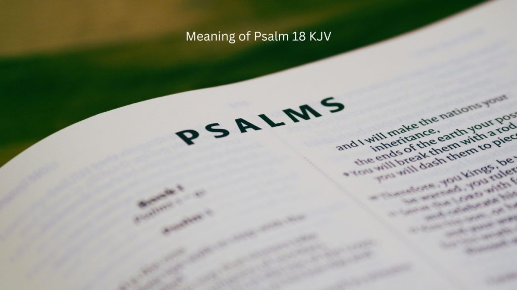 Meaning of Psalm 18 KJV Bible