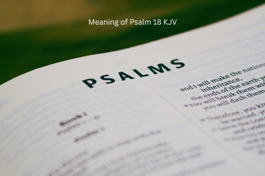 Meaning of Psalm 18 KJV Bible